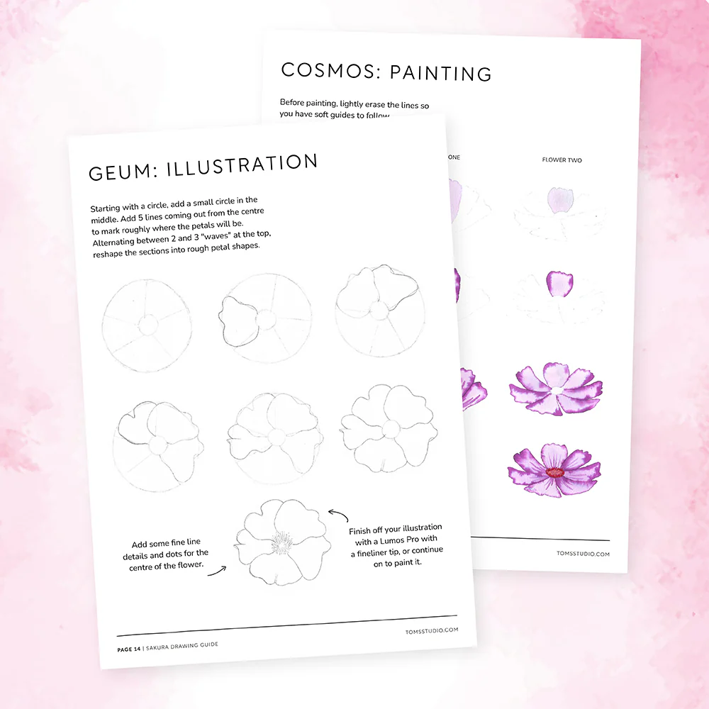 Sakura Collection Drawing Guide - Image 2