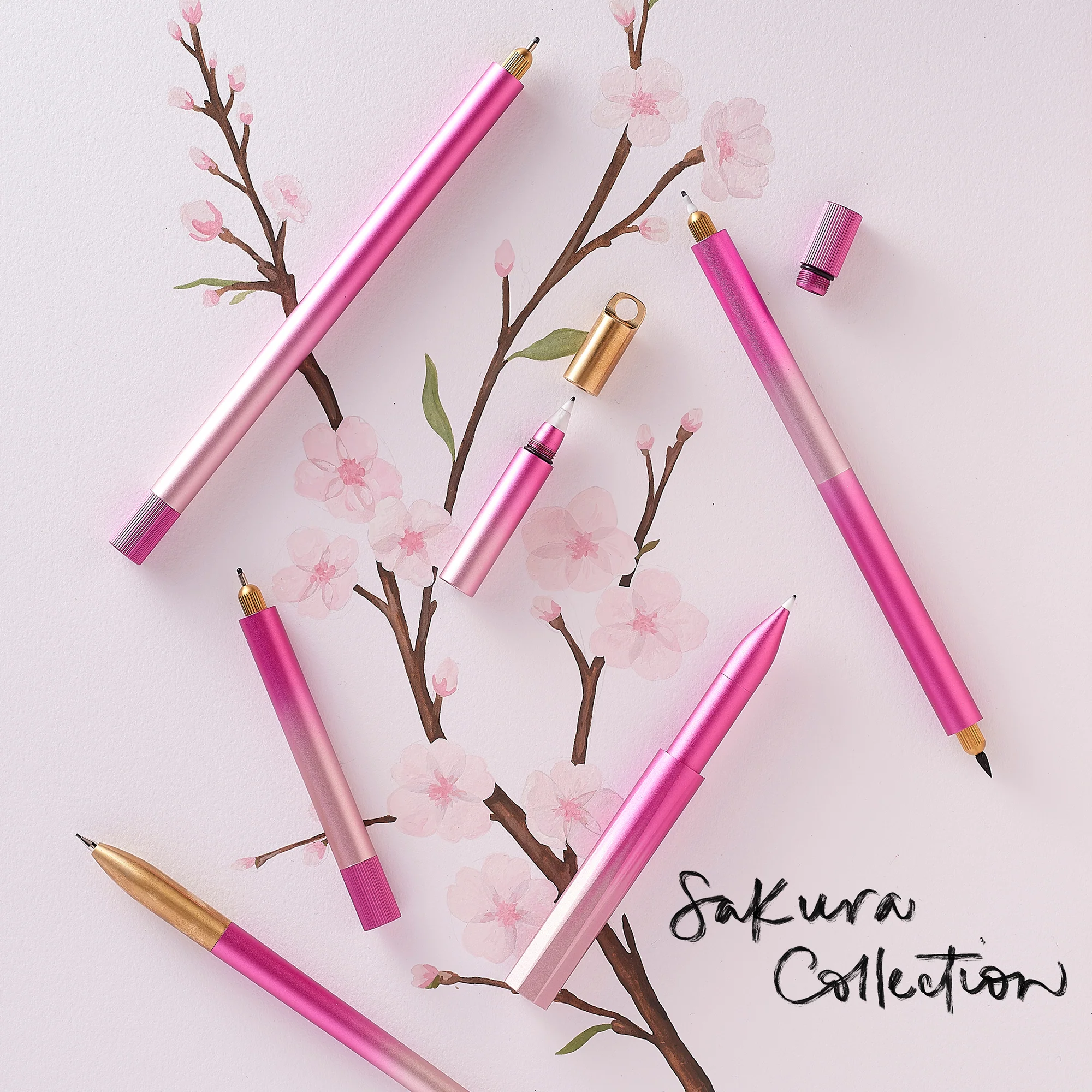 Sakura Lumos - Special Edition - Image 4